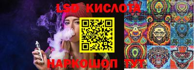 сатива Краснокаменск