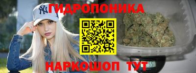 сатива Краснокаменск