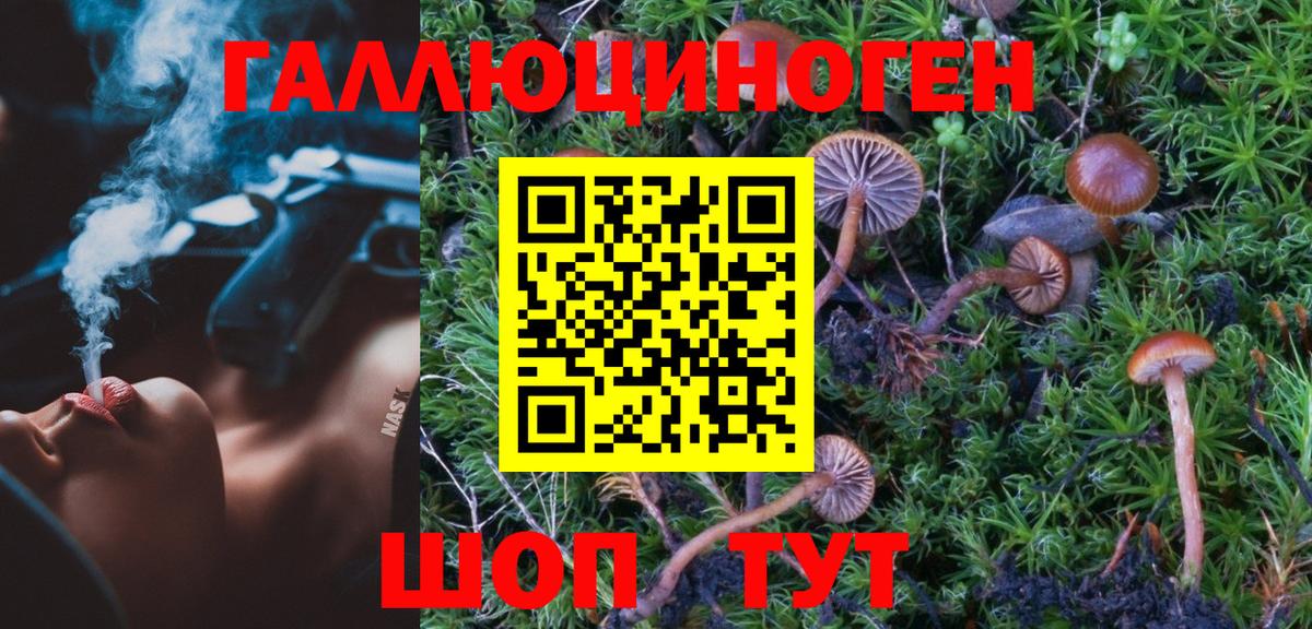Галлюциногенные грибы мицелий Ипатово