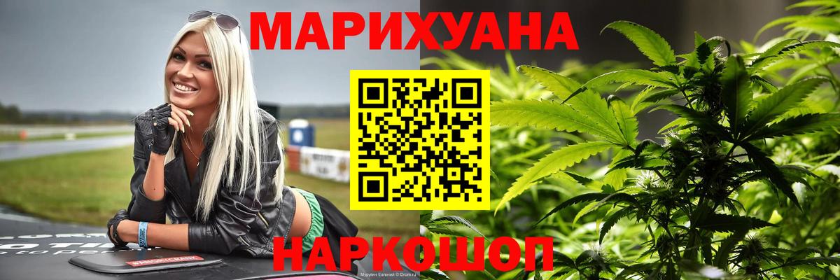 Конопля гибрид Ипатово